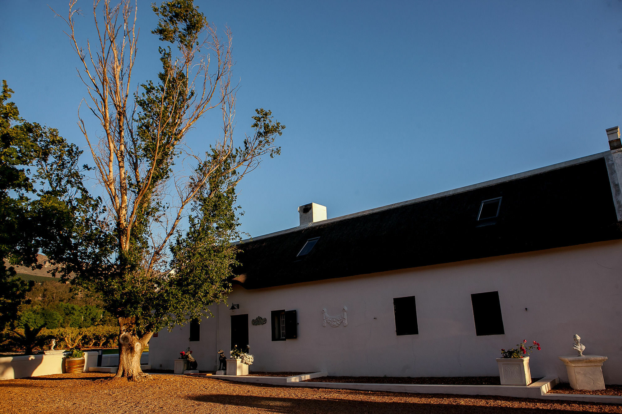 1692 De Kleijne Bos Country House 파를 외부 사진